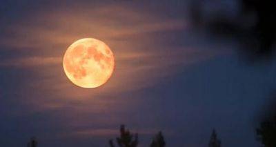 Что нельзя делать в полнолуние во время лунного затмения 28 октября: ритуалы и запреты - cxid.info - Запрет