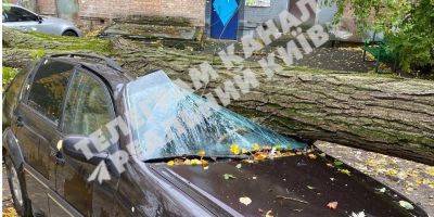 Разрушительный ветер. В соцсетях публикуют фото и видео непогоды в Киеве