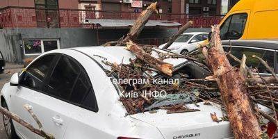 В Киеве выросло количество погибших в результате непогоды, семеро травмированы, поврежден жилой дом, киоски, автомобили