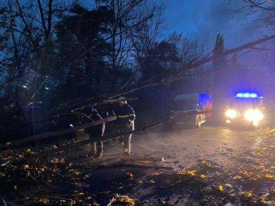 Мощный ураган в Киеве привел к жутким последствиям: есть погибшие и много пострадавших