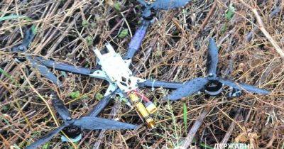 Пограничники приземлили вражеские FPV-дроны - dsnews.ua - Украина
