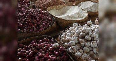 В Украине выросли цены на лук и чеснок: как изменилась стоимость за месяц