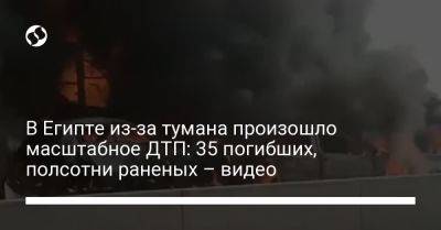 Sky News - В Египте из-за тумана произошло масштабное ДТП: 35 погибших, полсотни раненых – видео - liga.net - Украина - Италия - Египет - г. Александрия