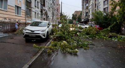 Мощнейший ураган накрыл всю Украину: дороги перекрыты, деревья и остановки общественного транспорта вырывает с корнями