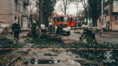 Непогода унесла жизни 4 человек в Украине – ОП