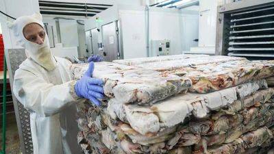 Посол РФ заявил о плюсах запрета на ввоз рыбы из Норвегии для российских компаний