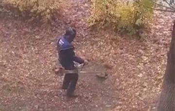 В ЖКХ Жодино прокомментировали ролик, где мужчина во дворе косит опавшую листву