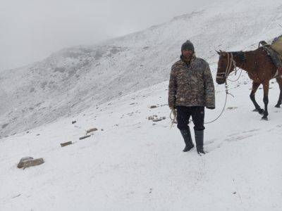 В Узбекистане досрочно началась зима: В Гиссарском заповеднике выпал снег. Фото