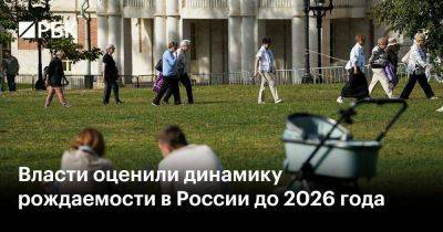 Власти оценили динамику рождаемости в России до 2026 года