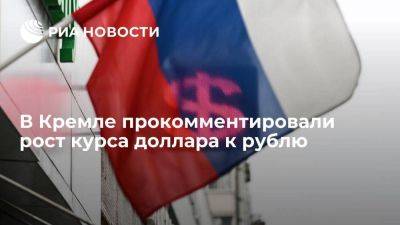Песков: в Кремле не видят повода для беспокойства из-за курса доллара к рублю