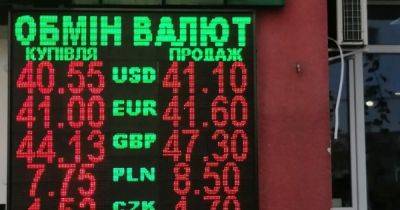 Доллар подорожает. Как решение НБУ перейти к гибкому курсу повлияет на цену валют - focus.ua - Украина