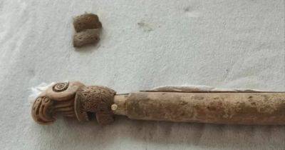Артефакт возрастом более 2 тыс. лет: в Болгарии нашли костяной скипетр скифских мастеров (фото)