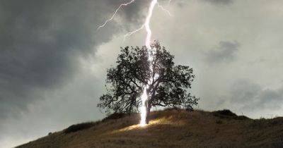 Невероятный заряд энергии. Ученые рассказали, что делает молнию "суперболт" такой мощной (фото) - focus.ua - Украина - Израиль - Боливия - Иерусалим