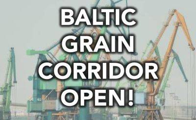 Экспорт зерна из Украины - Литва согласилась предоставить коридор