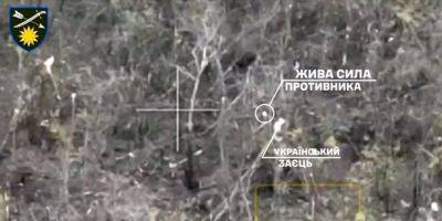 «Охотник оказался добычей». Боец ВСУ подстрелил из гранатомета оккупанта, пытавшегося украсть украинского зайца — видео