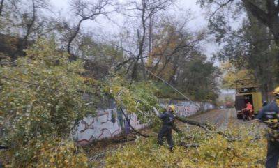 Ураган в Киеве – 28 октября зафиксирован рекорд максимальной скорости ветра