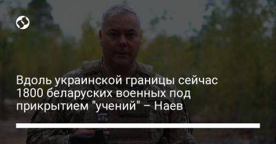 Вдоль украинской границы сейчас 1800 беларуских военных под прикрытием "учений" – Наев