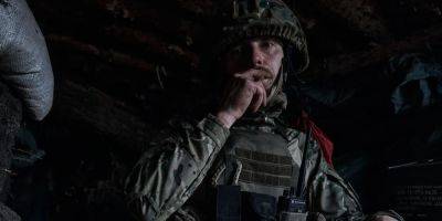 «Их тысячи». Фотографы показали новые фото с Донецкой области и рассказали о мышах, которые становятся все большей проблемой для военных