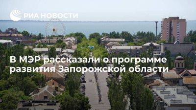 МЭР: программа развития Запорожской области поможет привлечь десятки млрд рублей