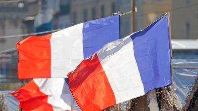 Власти Франции собираются депортировать 39 россиян