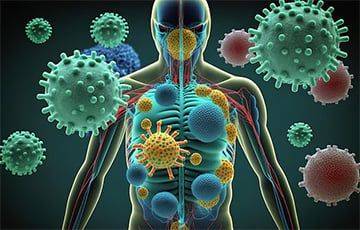 Сколько весит иммунная система человека