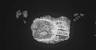 Поразил исследователей: в Германии ученые нашли средневековый скелет с протезом руки (фото) - focus.ua - Украина - Германия - Находка