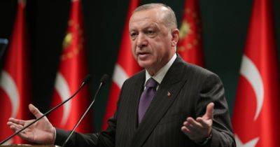 Цена власти: как Эрдоган хочет изменить будущее Турции, используя войну в Израиле