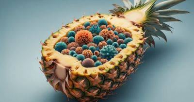 Микромир весом с ананас. Ученые выяснили из чего состоит и сколько весит наша иммунная система