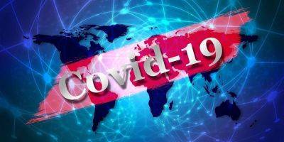 Какой была реакция правительств и общества на пандемию Covid-19