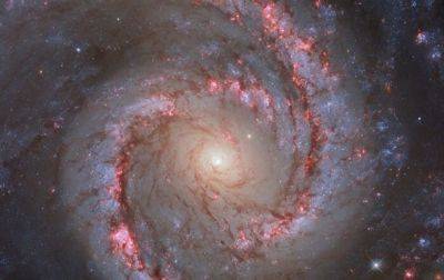 Телескоп Hubble сделал фото галактики Испанская танцовщица