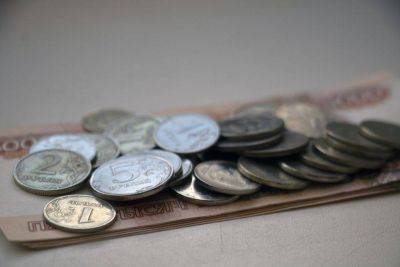 Нижегородцы вернули в денежный оборот монеты на 2 млн рублей