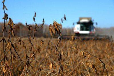 В понедельник зерновые и соя в США завершили торги с понижением