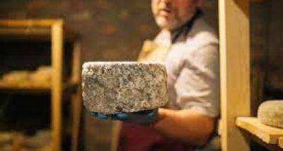 На международном сырном конкурсе Украина представлена 23 сырами - cxid.info - Норвегия - Украина - Швейцария