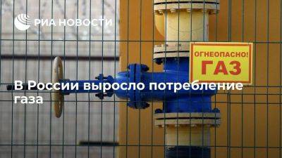 "Газпром": потребление газа в России выросло благодаря газификации