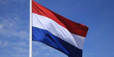 В Нидерландах российского бизнесмена приговорили к 18 месяцам тюрьмы за продажу чипов в РФ