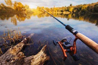 В Одесской области с 1 ноября запрещается вылов рыбы | Новости Одессы