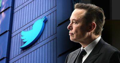 Сбитая птичка: соцсеть X теперь стоит вдвое меньше, чем ее купил Илон Маск