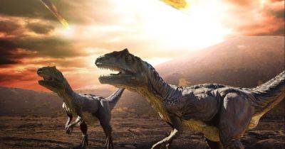 Вовсе не удар астероида: ученые выяснили, что погубило динозавров 66 млн лет назад - focus.ua - Украина - Бельгия