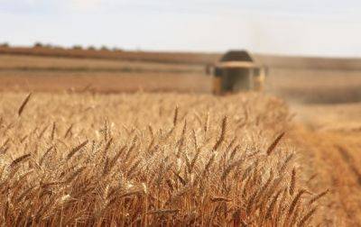 Итоги 03.10: Экспорт зерна и план реформ