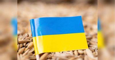 Прорыв в решении проблемы экспорта украинского зерна: о чем договорились Киев, Варшава и Вильнюс