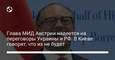 Глава МИД Австрии надеется на переговоры Украины и РФ. В Киеве говорят, что их не будет