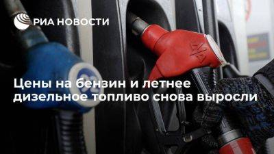 Цены на бензин и летнее дизельное топливо на СПбМТСБ вернулись к росту