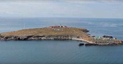 "Акт бессилия": в ВМС ответили, почему РФ наносит авиаудары по острову Змеиный (видео)
