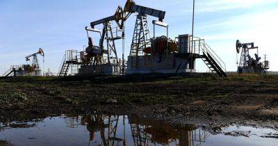 Подкупила скидками: Россия зарабатывает на нефти благодаря союзнику в Азии, — Bloomberg