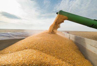 В Румынии заявили, что позволят импортировать украинское зерно по правительственной лицензии