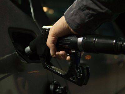 ФАС разослала нефтяным компаниям и частным АЗС письма с требованием снизить цены на топливо