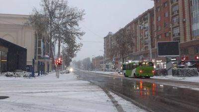 Узбекские синоптики заявили, что предстоящей зимой не будет аномальных морозов