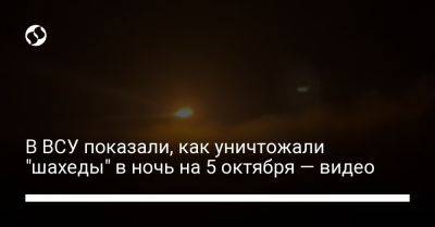 В ВСУ показали, как уничтожали "шахеды" в ночь на 5 октября — видео