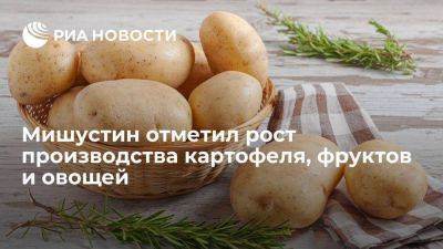 Мишустин: у россиян не будет недостатка при выборе картофеля, фруктов и овощей