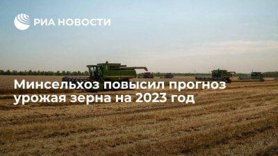 Минсельхоз повысил прогноз урожая зерна на 2023 год до 135 миллионов тонн